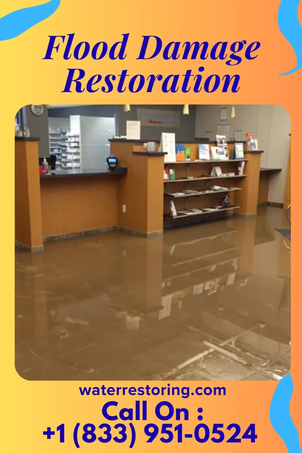 Flood Damage Restoration in Brown Deer, WI