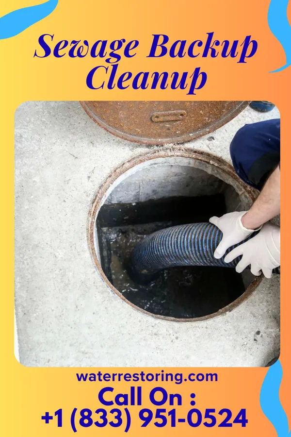 Sewage Backup Cleanup in Brown Deer, WI