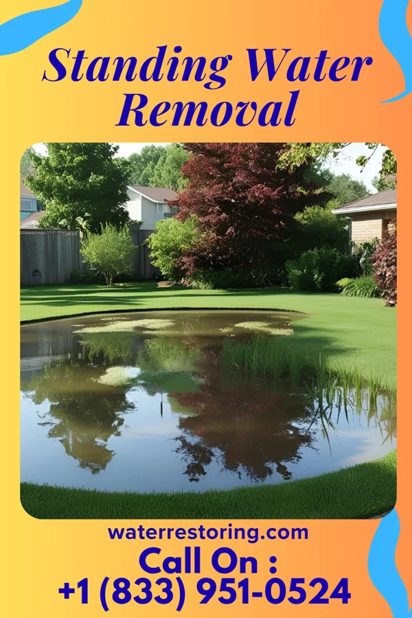 Standing Water Removal in Brown Deer, WI